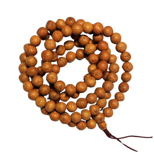 Bhodi Seed Mala