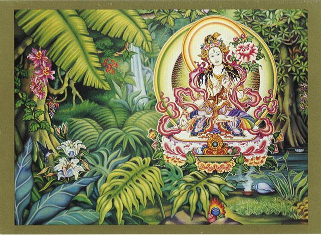 Hvid Tara rainforest Postkort