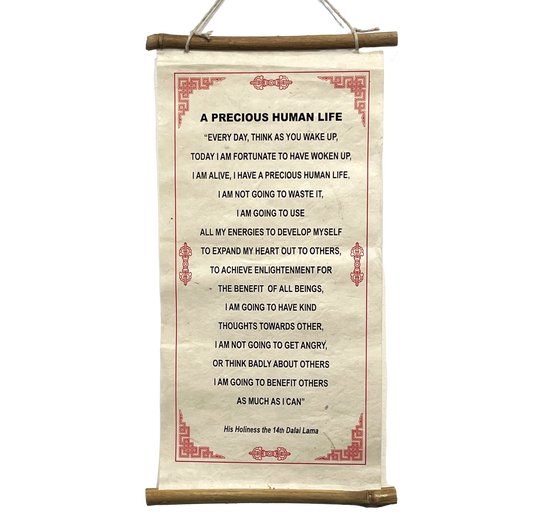 "A Precious Human Life"