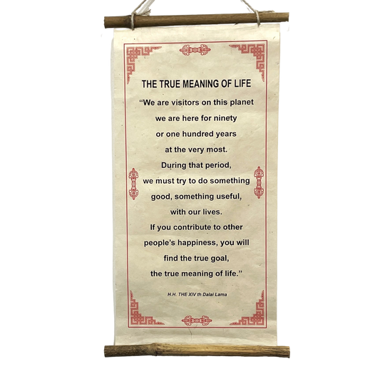 "The True Meaning Of Life"