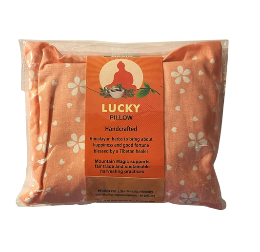 Lucky Pillow