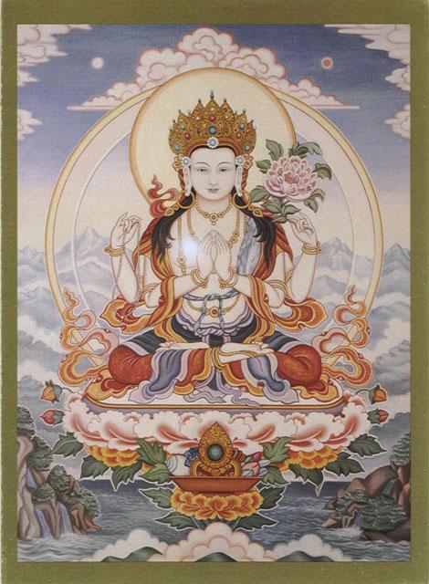 Avalokitesvara (Chenrezi) Postkort